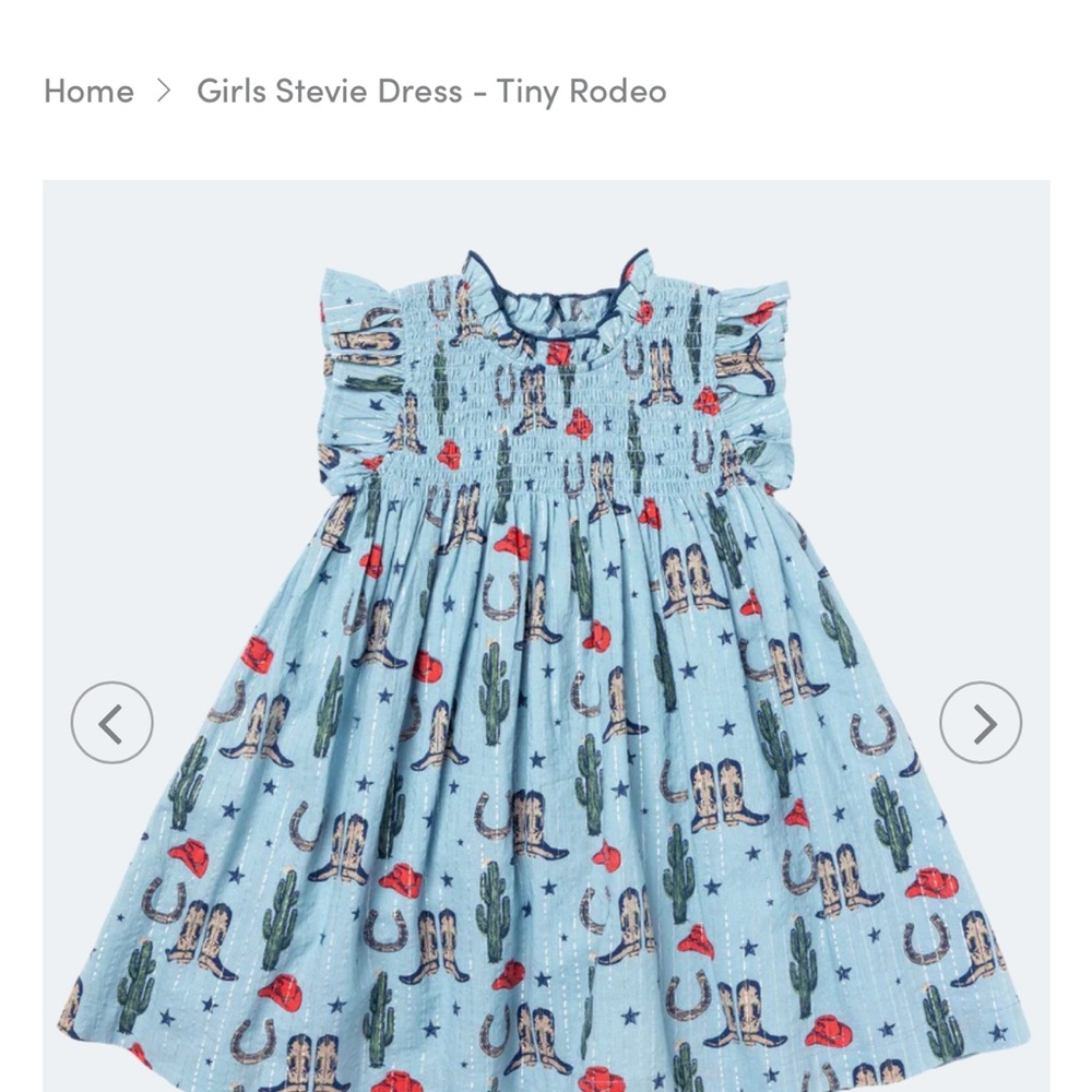 Girls Stevie Dress - Tiny Rodeo Print